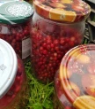 Brūkleņu kompots