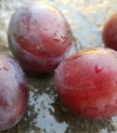 Plūmju kompots - konservēts