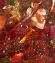 Biešu zupa ar cūkgaļu