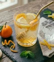 Citrusu atsvaidzinošais dzēriens
