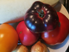 Kabaču un tomātu lečo