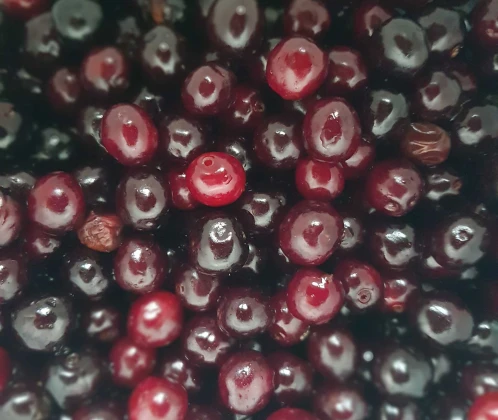 Ķiršu ievārījums