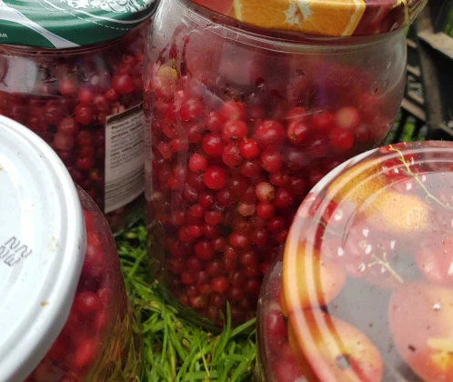 Brūkleņu kompots