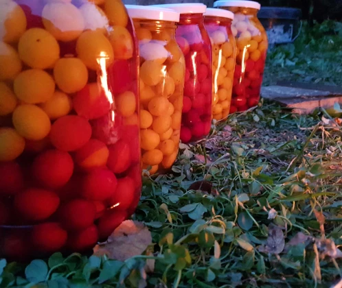 Kaukāza plumju kompots