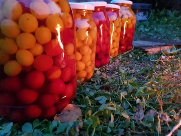 Kaukāza plumju kompots