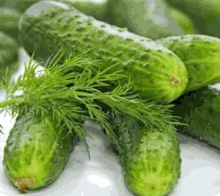 Pasterizēti gurķi