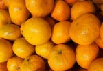 Mandarīni virtuvē: izvēle, uzglabāšana un recepšu idejas